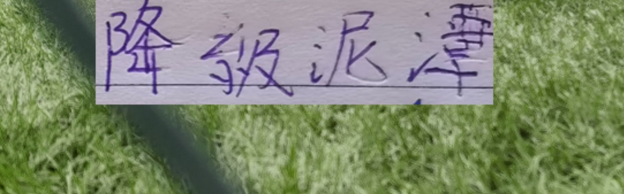爱游戏体育官方网站-申花能否摆脱降级泥潭！ 前5轮！成绩很重要