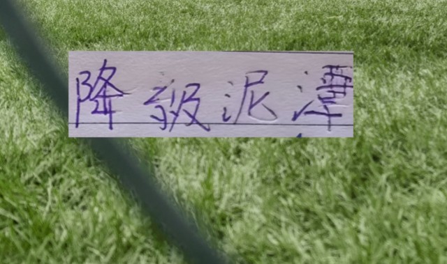 爱游戏体育官方网站-申花能否摆脱降级泥潭！ 前5轮！成绩很重要